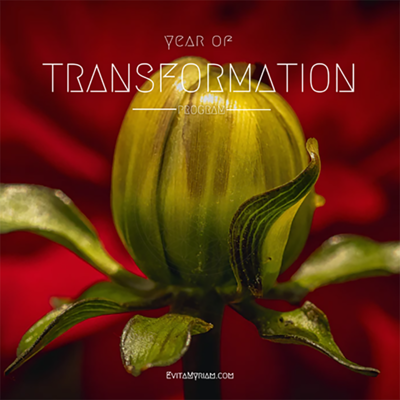 Το Year of Transformation Program
